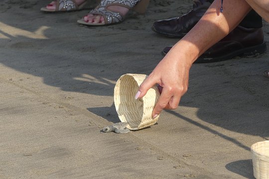 Tour image 3