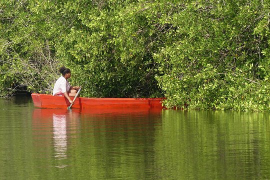 Tour image 14