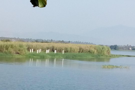 Tour image 4