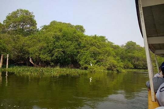 Tour image 12