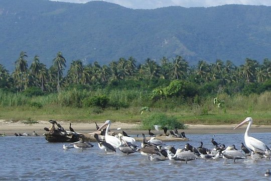 Tour image 8